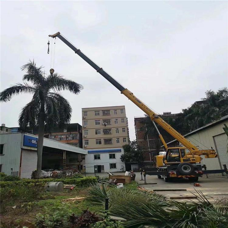 丹棱汽车吊出租多少钱？全面解析与市场行情